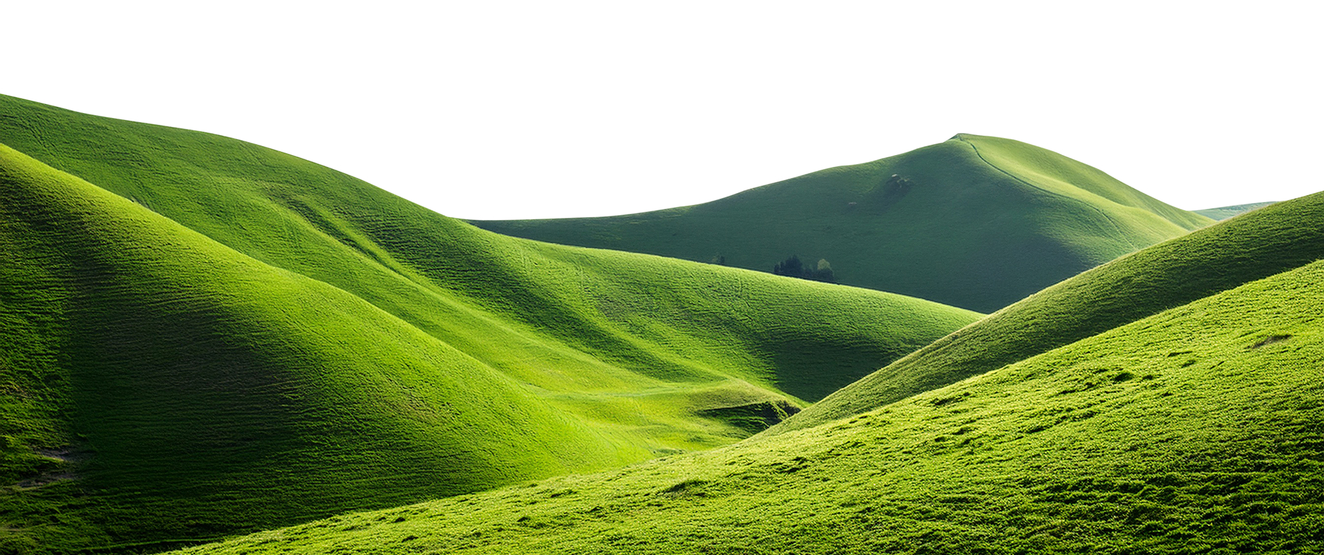 Banner V1 Background